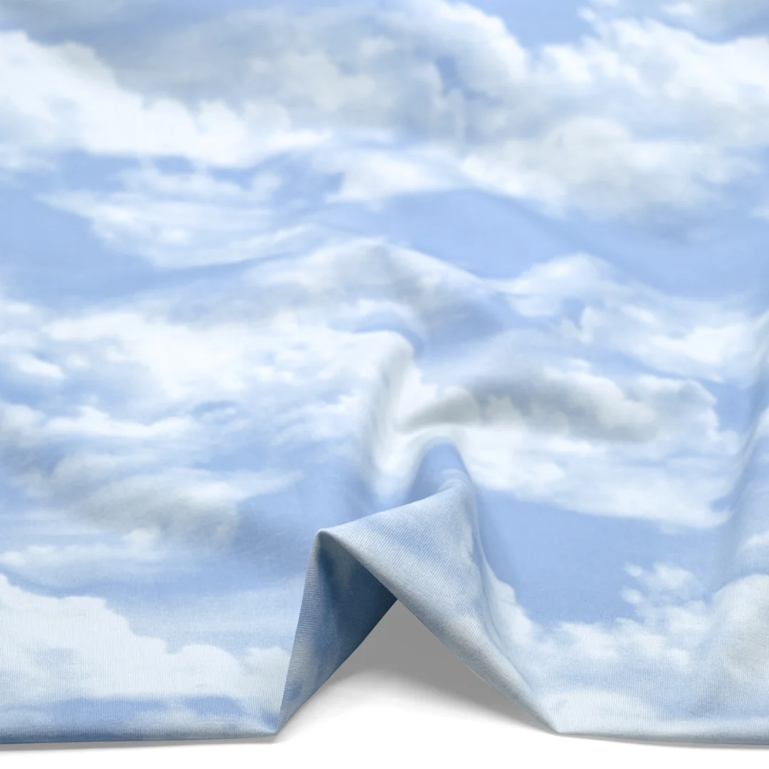 Cloudy Skies Organic Cotton Jersey - Baby Blue/Ivory - Image 3