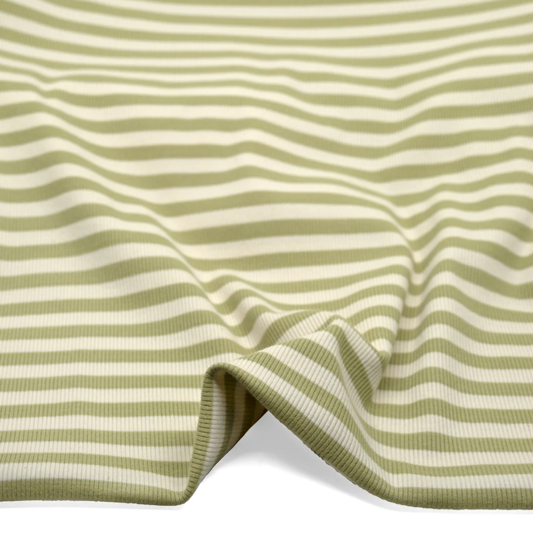 Sugar Stripe Cotton Rib Knit - Daiquiri - Image 2